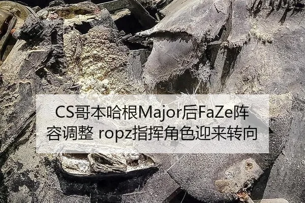 ge-ben-ha-gen-hou-zhen-rong-tiao-zheng-zhi-hui-jue-se-ying-lai-zhuan-xiang-3-379.jpg