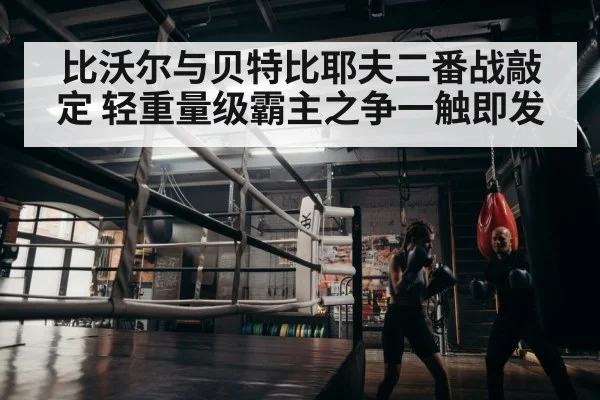 boxer training
